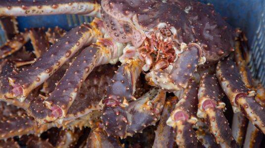 Crab Fishing on Sakhalin