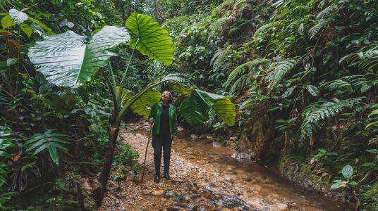Mashpi cloud forest