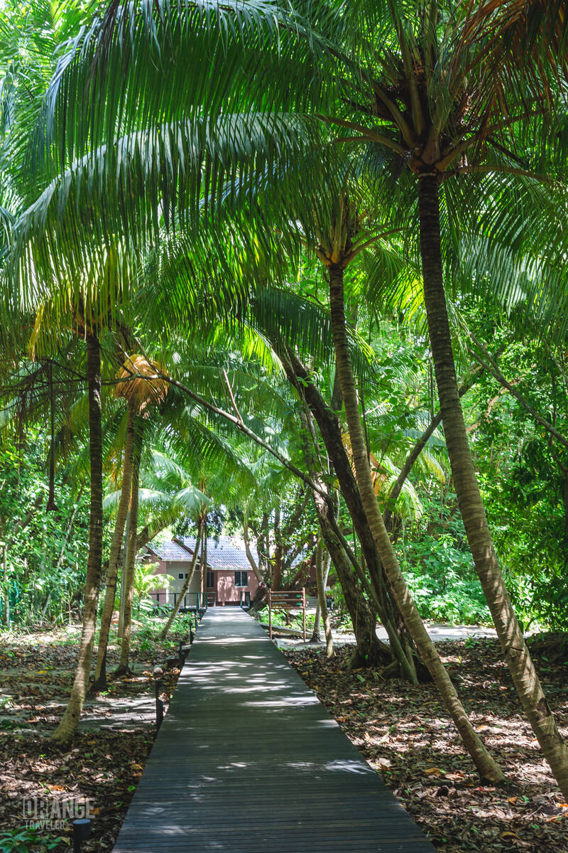 The Path to the chalets o Selingan Island