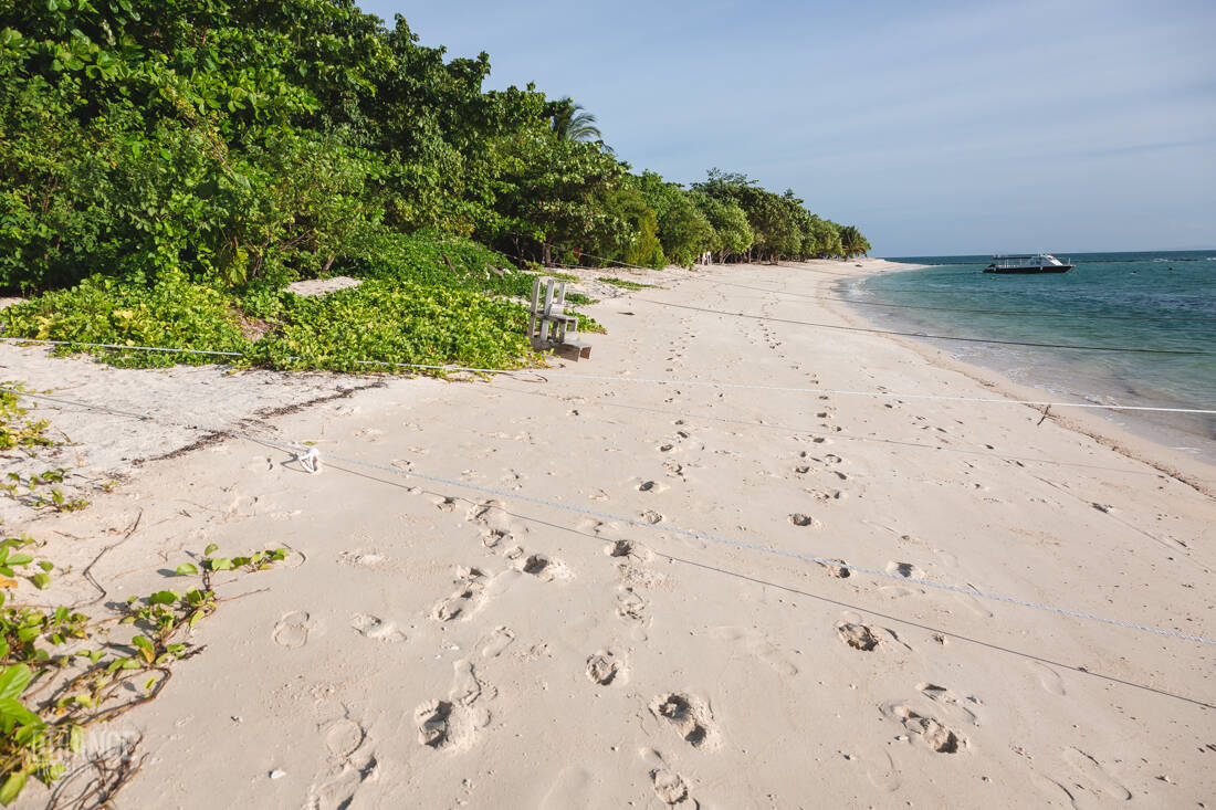 Selingan Island's beach
