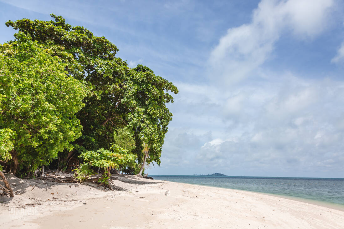Selingan beach in the Sulu Sea