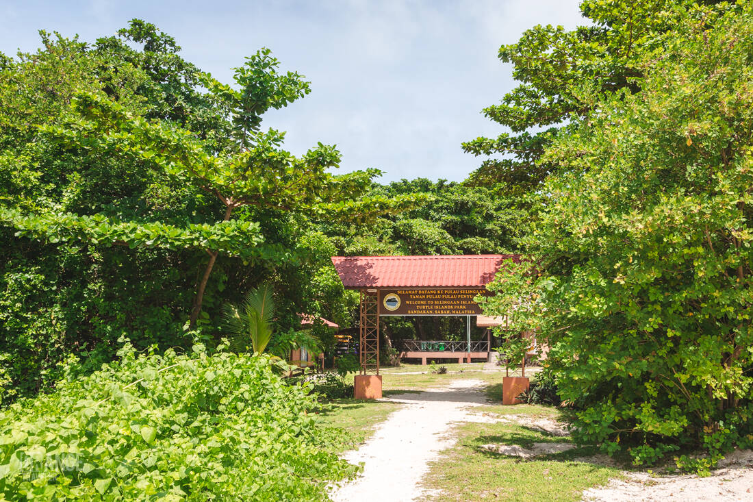Selingan Island Borneo