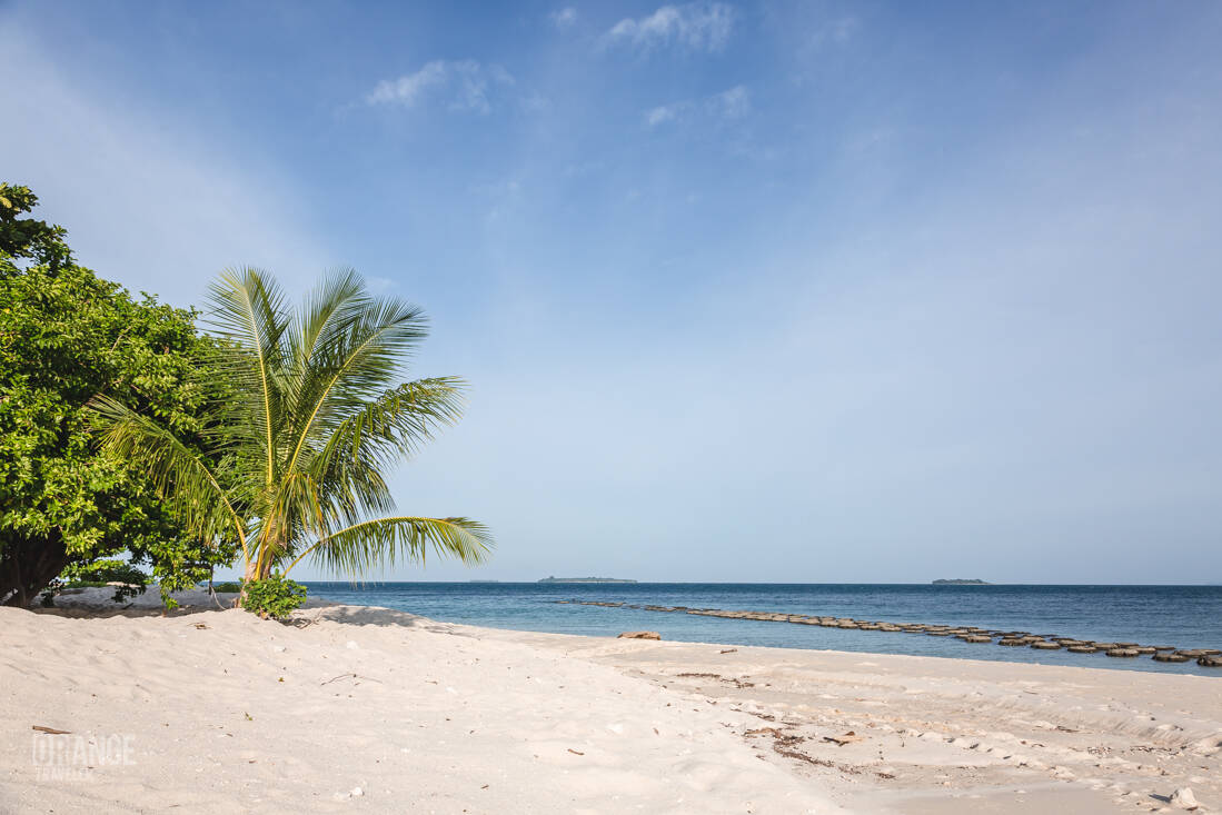 A day on Selingan Island