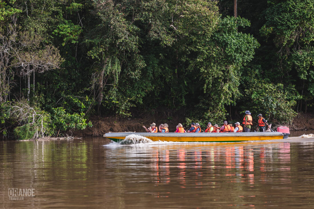 Kinabatangan river cruise