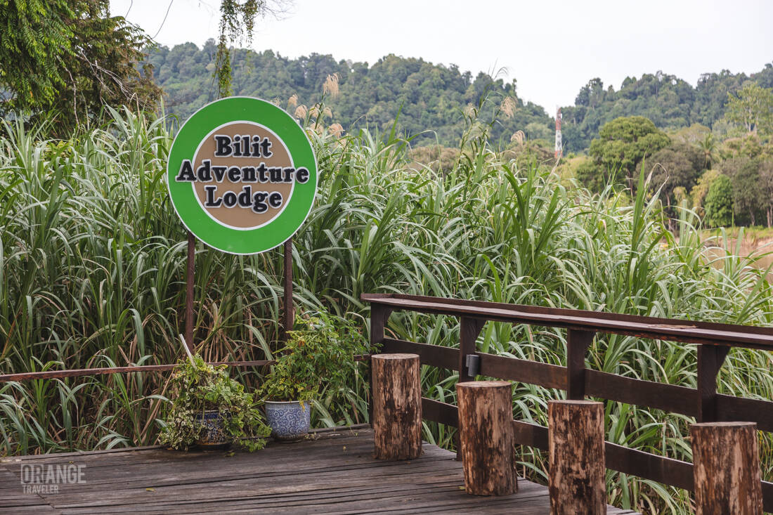 Built Adventure Lodge on the Kinabatangan River
