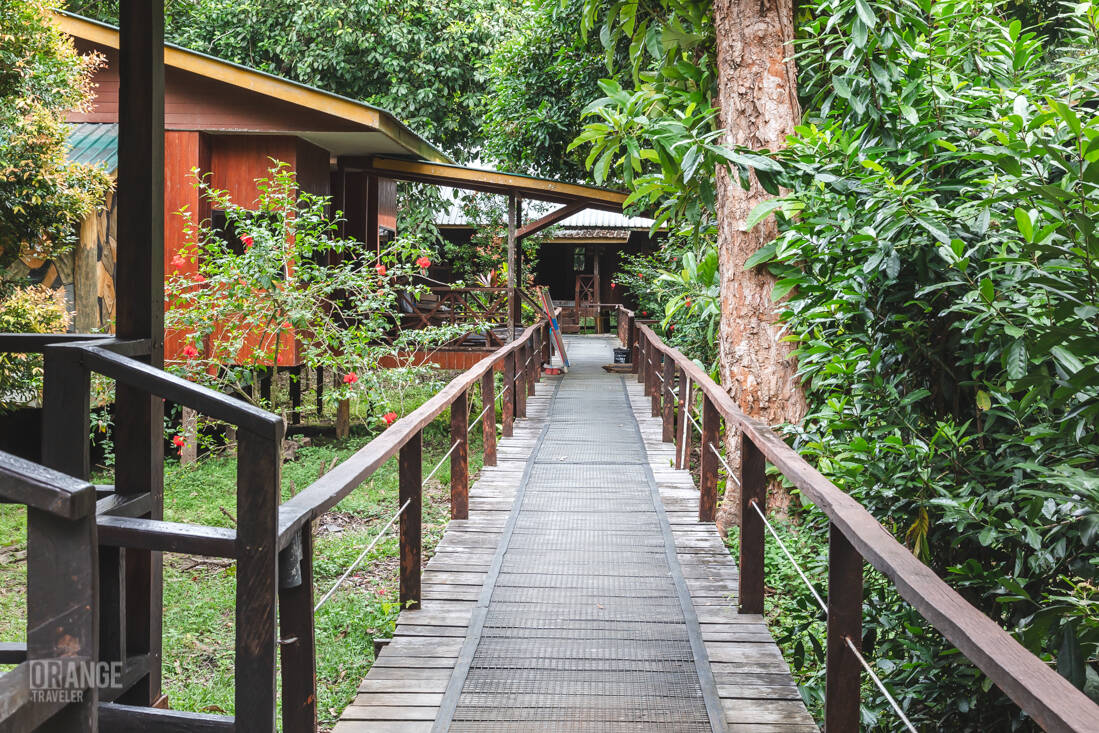 Built Adventure Lodge on the Kinabatangan River