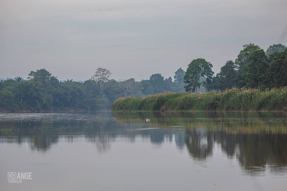 Morning on the Kinabatagan River