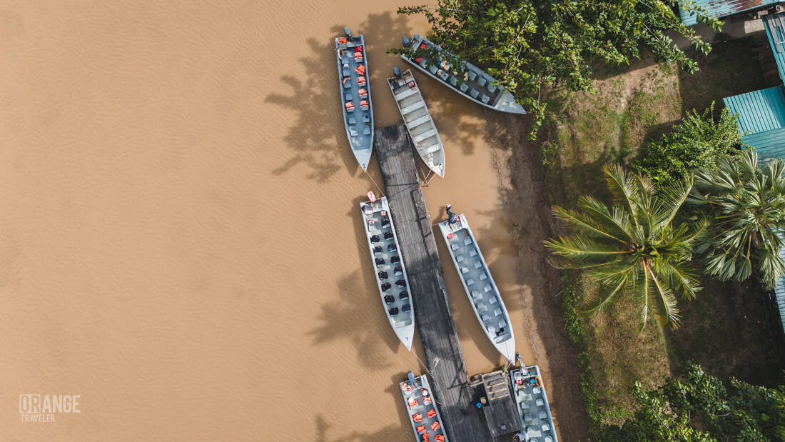 The boats o the Kinabatangan River