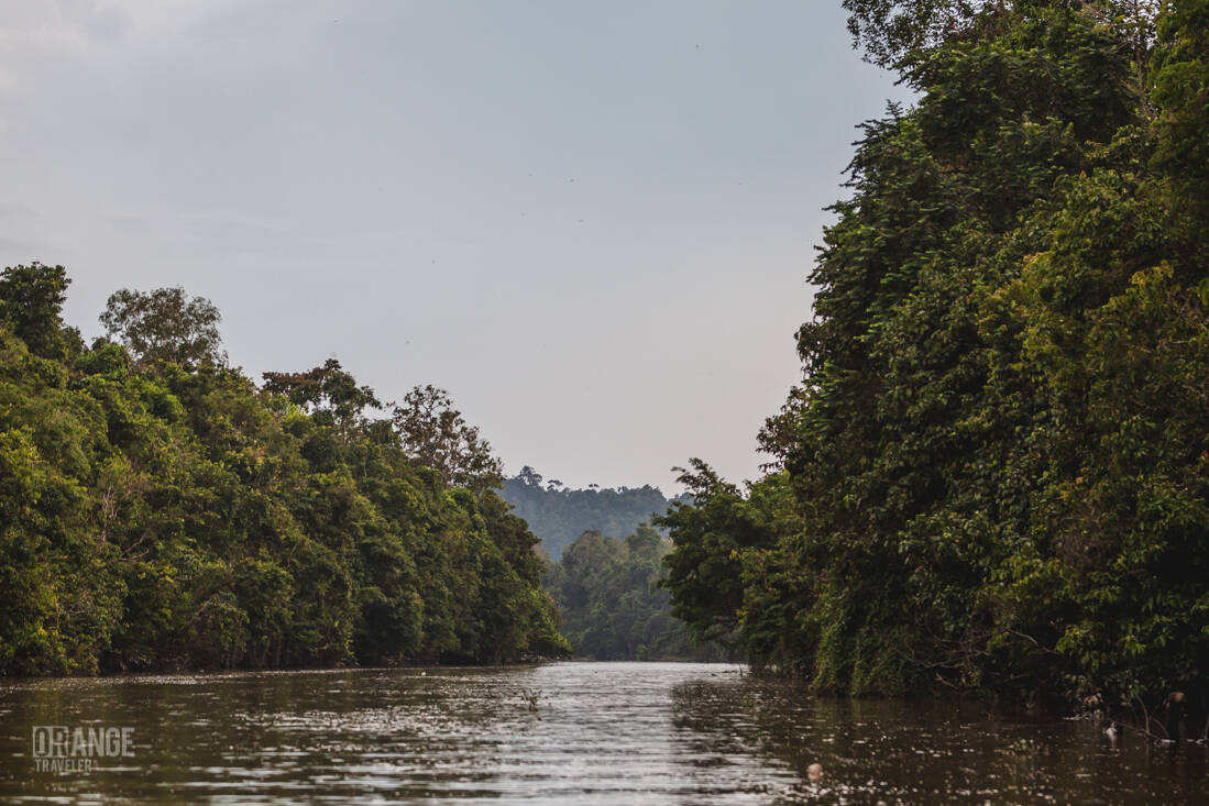 Sunset on the Kinabatangan River