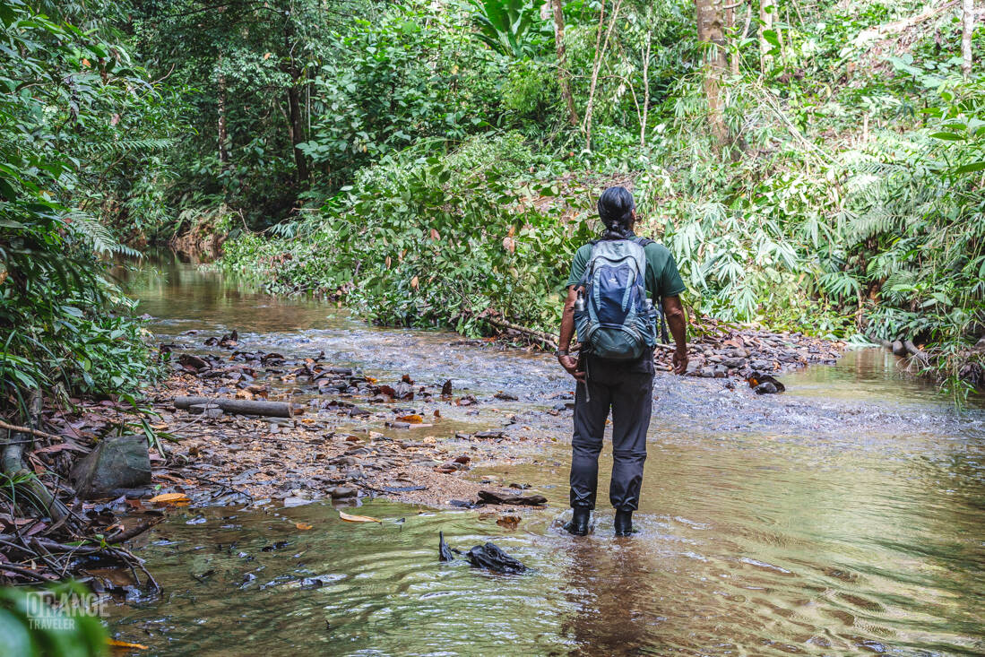 A Borneo Adventures guide