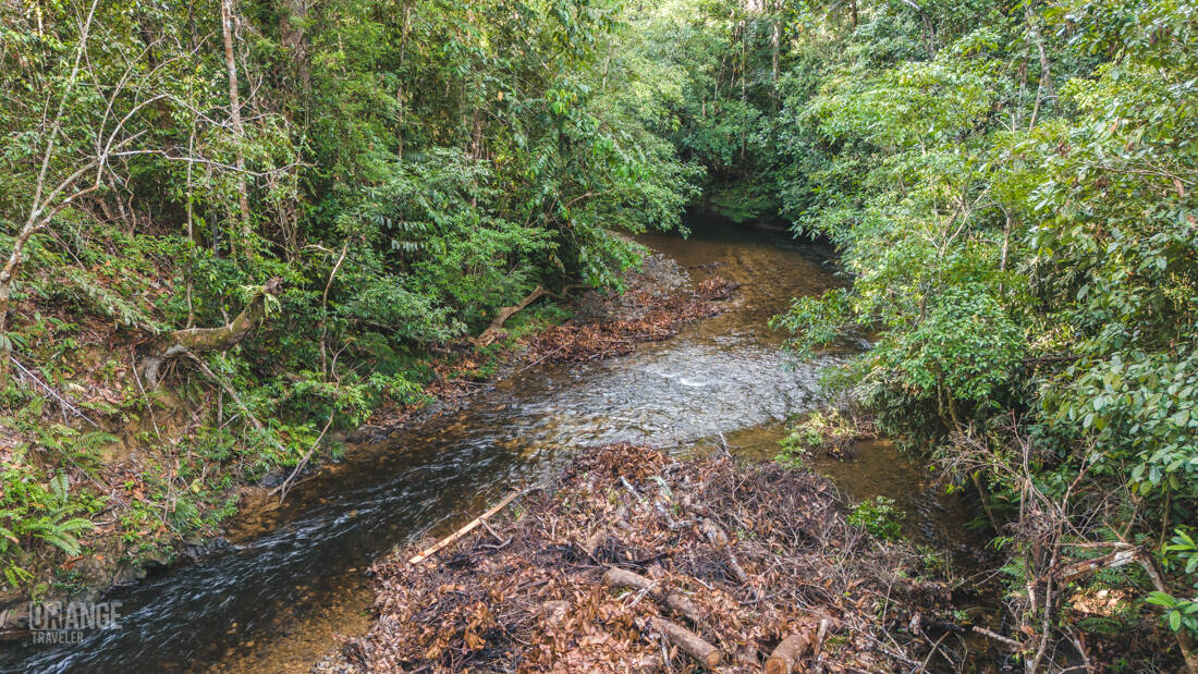 A river in Batang Ai National Park