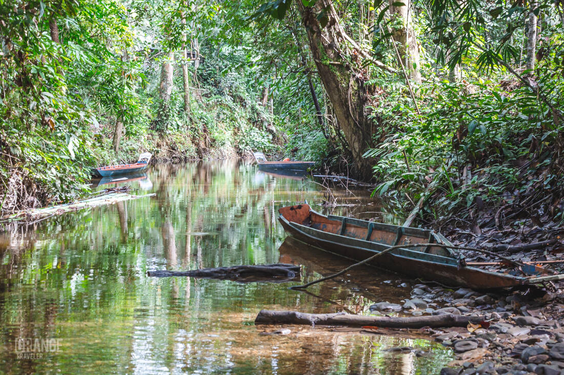 Iban boats