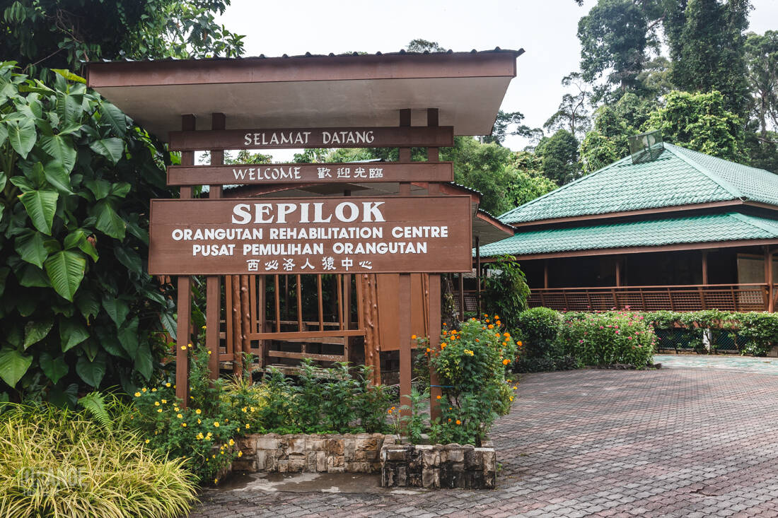 Sepilok Orangutan Rehabilitation Centre in Sabah