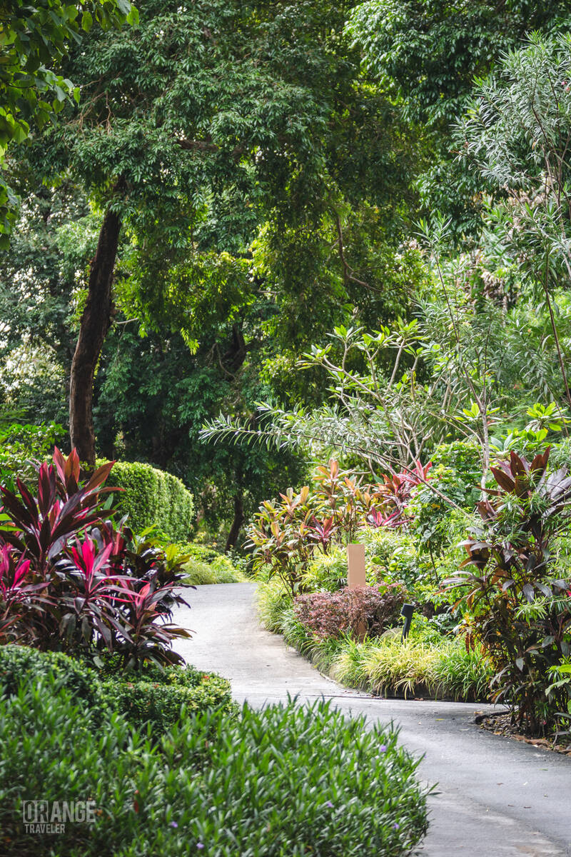 Jungle paths at The Ritz-Carlton, Langkawi