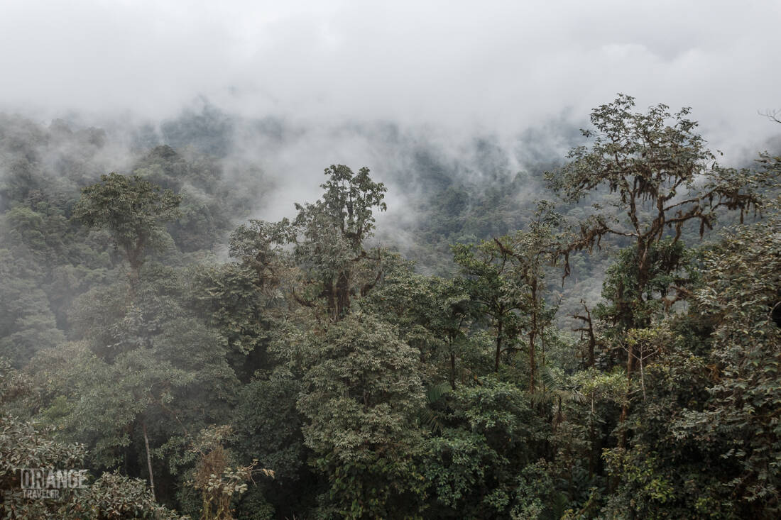 Clouds over Mashpi Cloud Forest in Ecuador