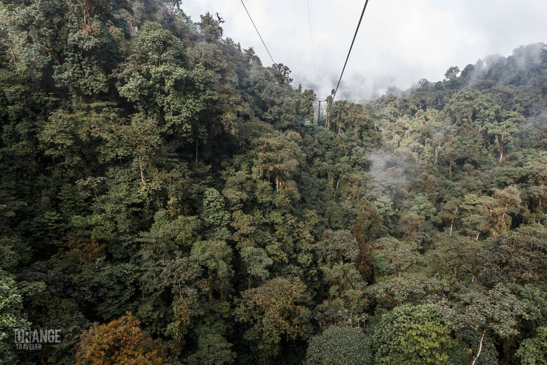 Dragonfly cable car at Mashpi Lodge