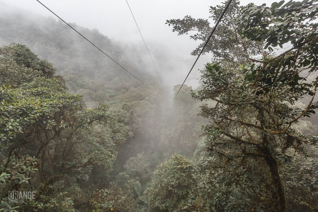 Dragonfly canopy ride over Mashpi Reserve