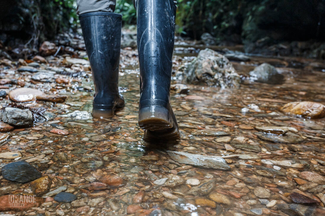 Walking across a stream in Mashpi Cloud Forest