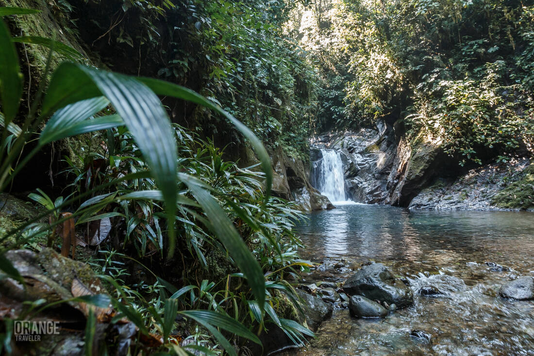 Waterfall in Mashpi Cloud Forest