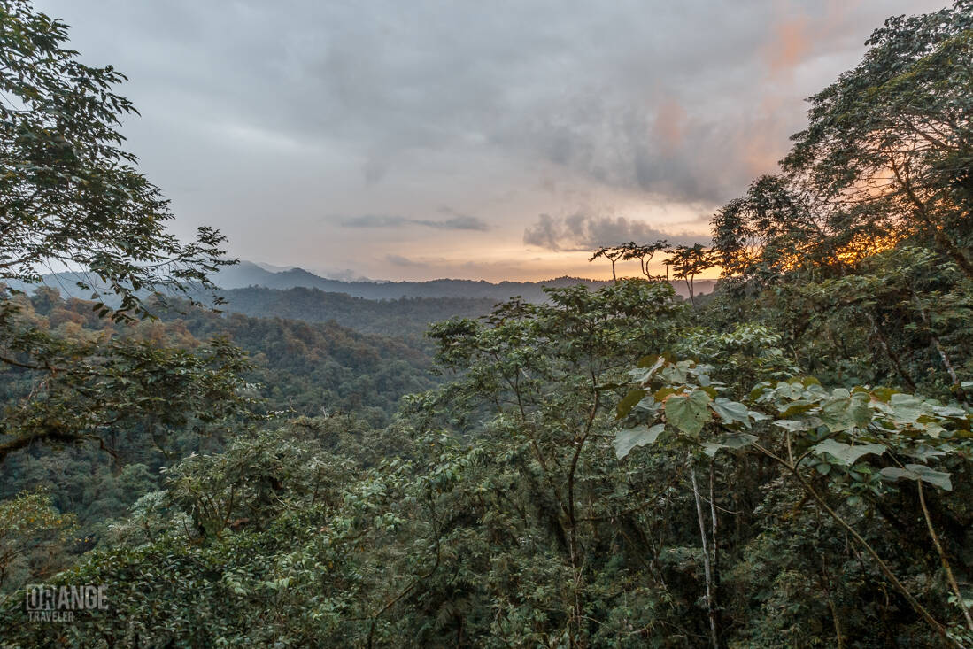 Sunset over Mashpi Cloud Forest