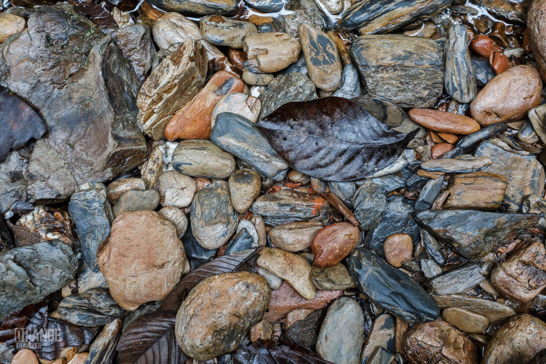 Stones in a stream in Mashpi Cloud Forest