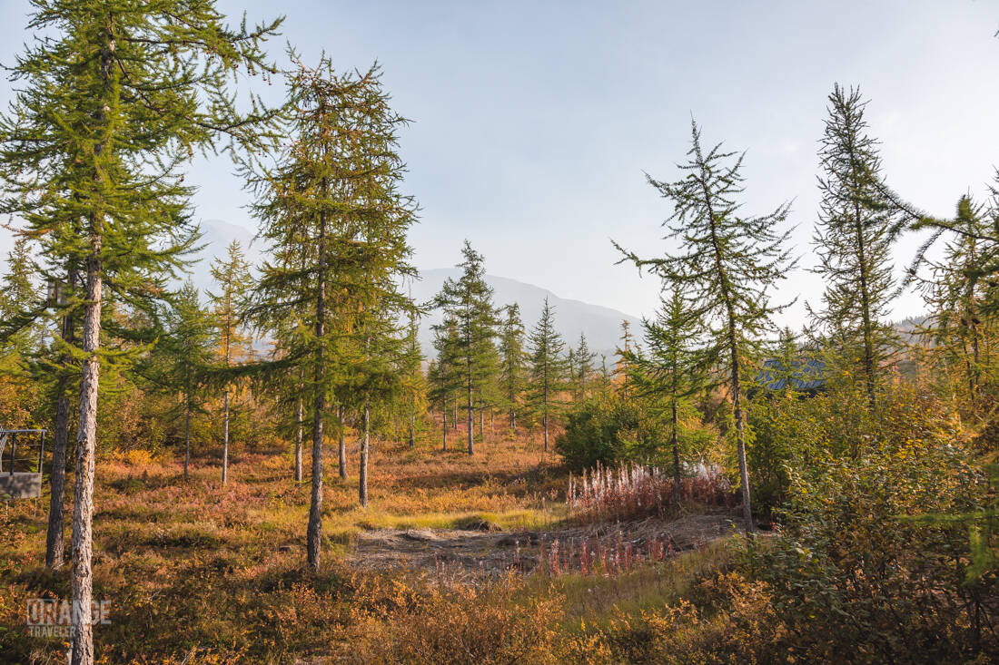 Nature of the Putorana Plateau near Neralah Park Hotel
