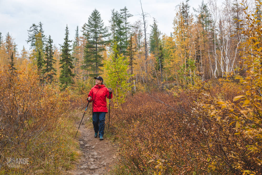 Orange Traveler on the Putorana Plateau