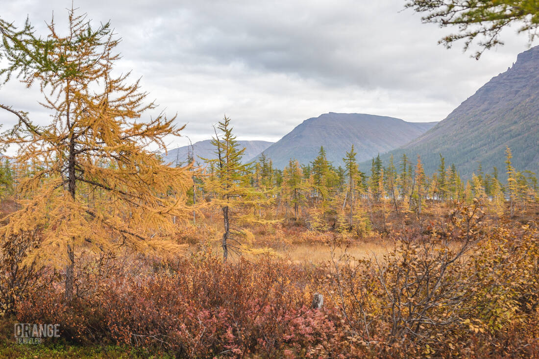 Forest-tundra on the Putorana Plateau