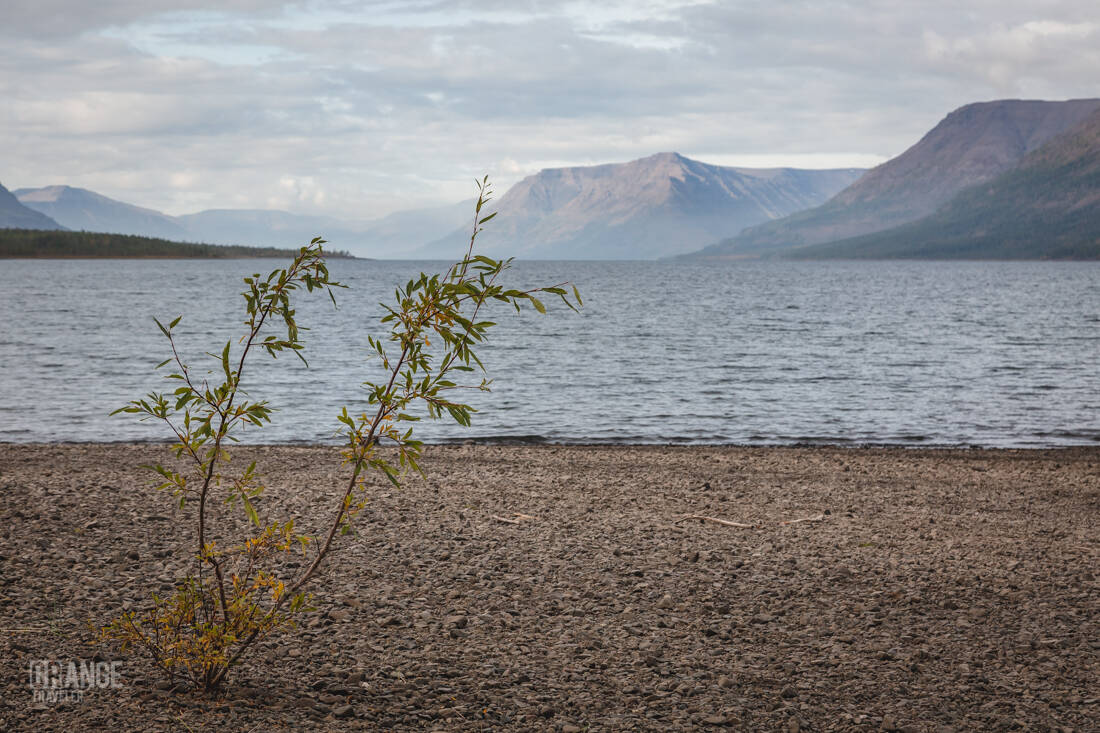 The shore of Lake Lama