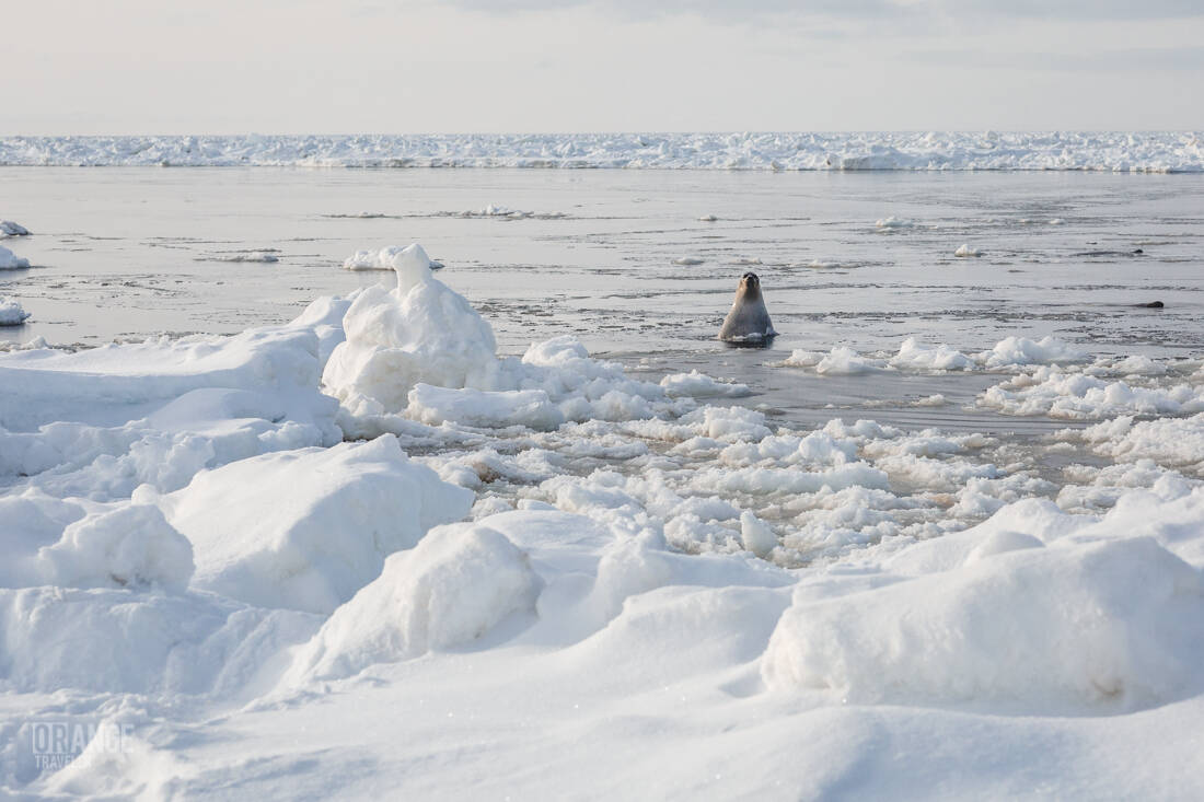 Пейзажи Белого моря