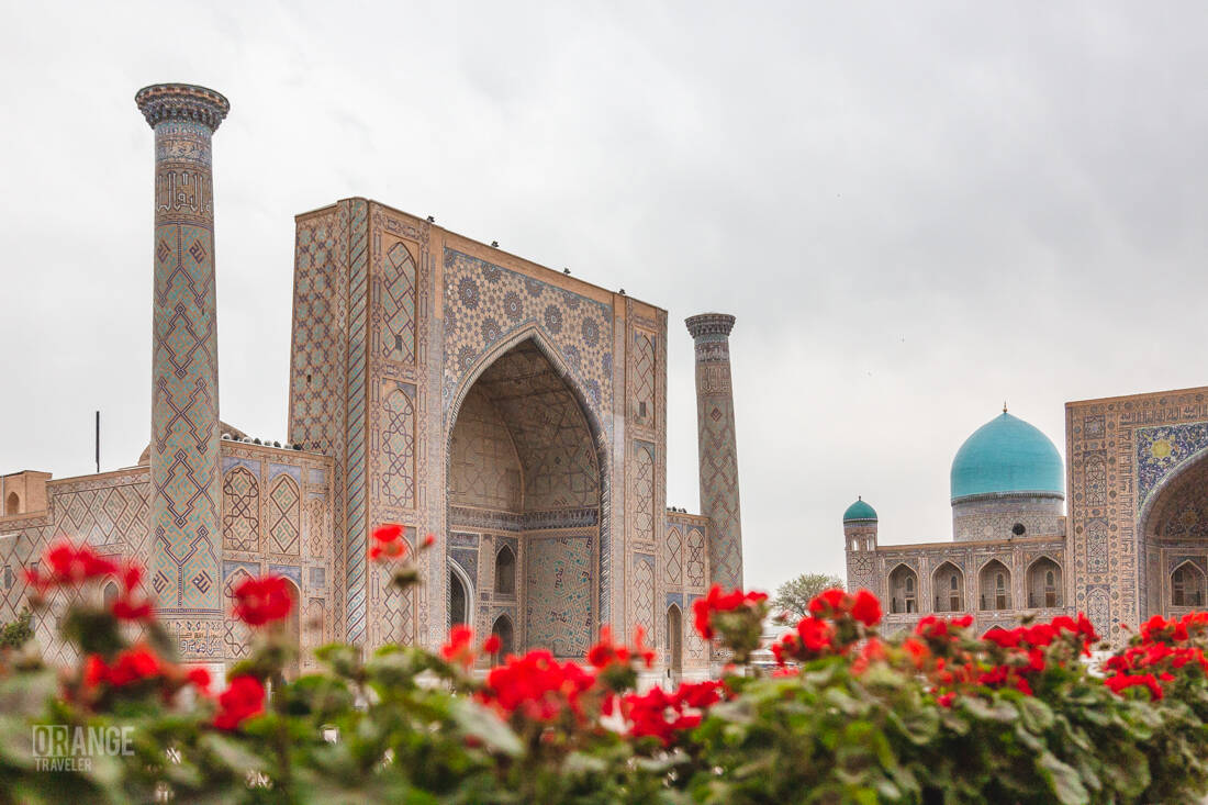 Registan in bloom