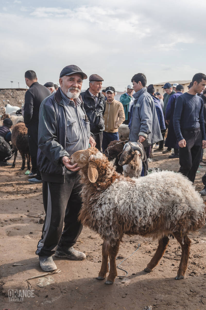 Ram seller at the market in Urgench, Uzbekistan
