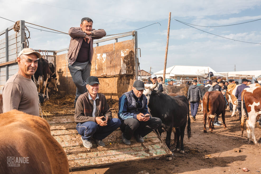 Sellers at the livestock market in Urgench, Uzbekistan
