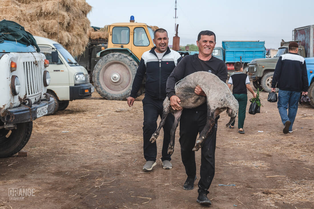 Buyer at the livestock market in Urgench, Uzbekistan