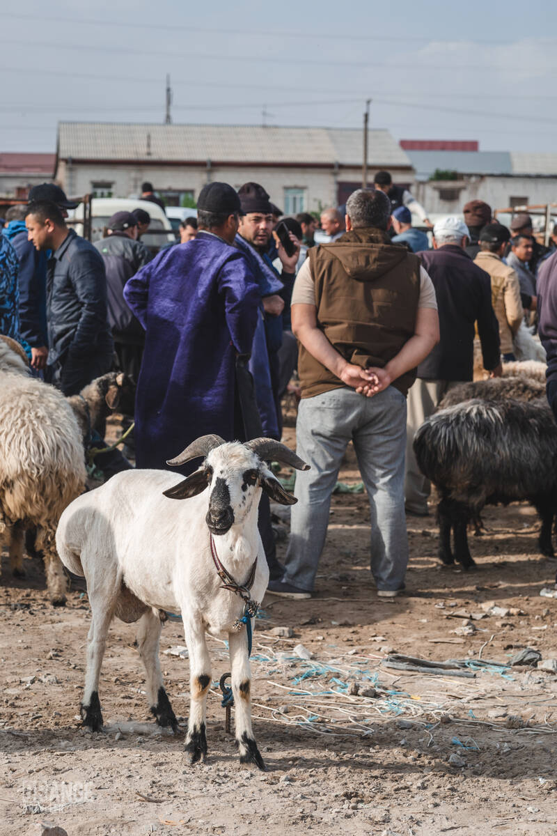 Market in Urgench, Uzbekistan